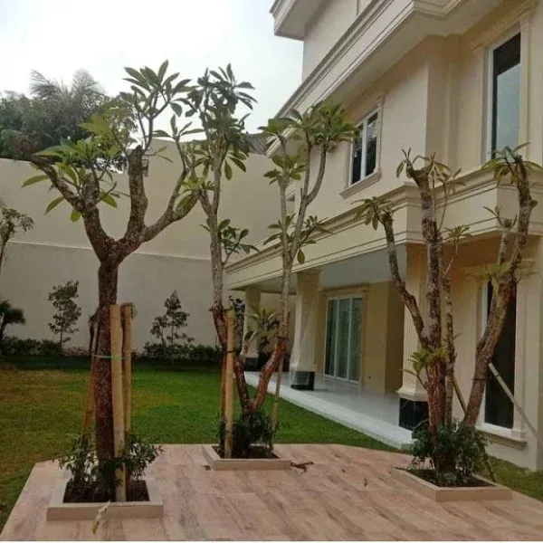 jasa tukang taman cilangkap